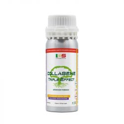 COLLAGENE TRIPLE EFFECT 90 CPS 